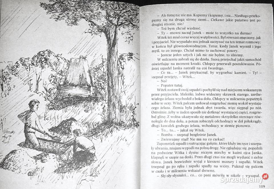 Witek poszukiwaczem skarbów Andrzej Wydmiński Chełm