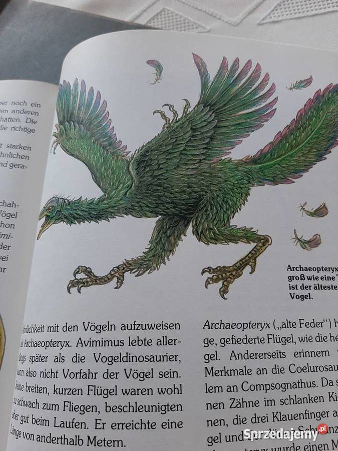 Dinosaurier grosse Buch