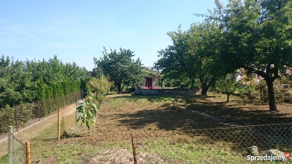 DZIAŁKA ROD W POBIEDZISKACH rekreacyjna Pobiedziska