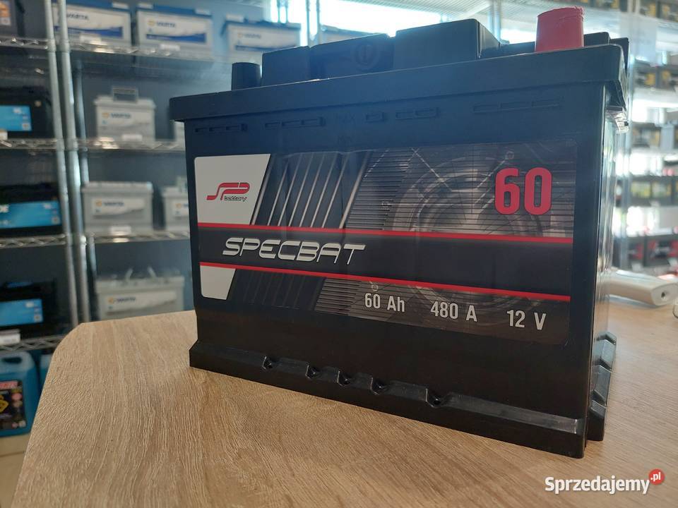 Akumulator SPECBAT 60Ah 480A EN PRAWY LEWY PLUS Warszawa
