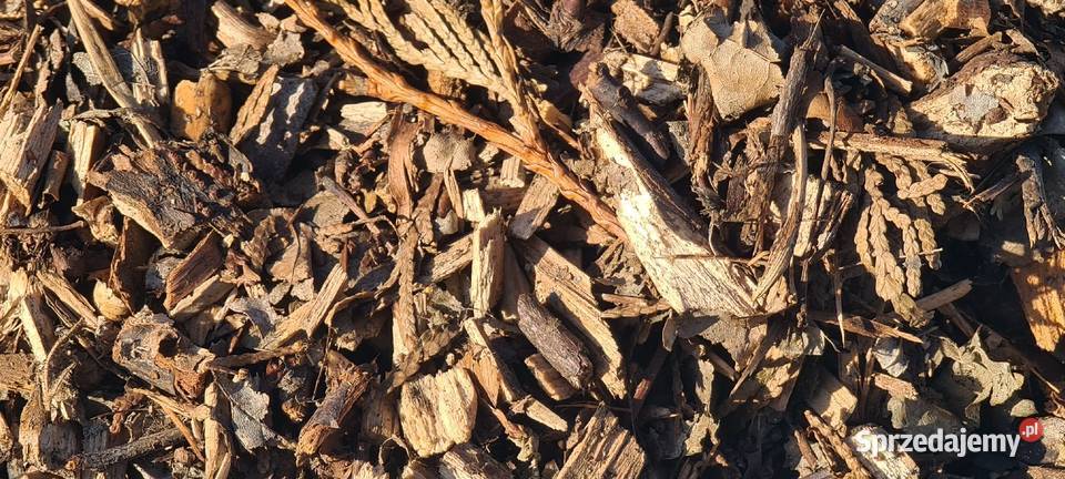 ZRĘBKA leśna biomasa na pellet Zrębek pod Zrębice