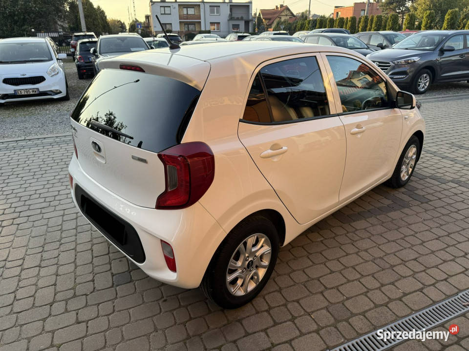 Kia Picanto 10 67 Klimatyzacja Serwis VAT marża Orzech