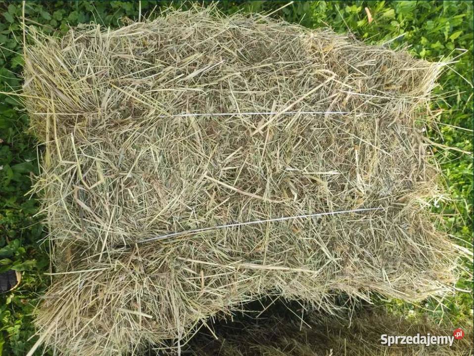 Siano w kostkach Pozostałe Stępina
