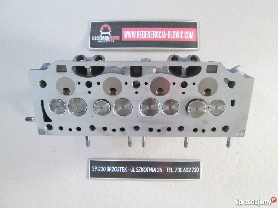 Głowica RENAULT 19 D TD 8V Kangoo Clio Megane z Brzostek sprzedam