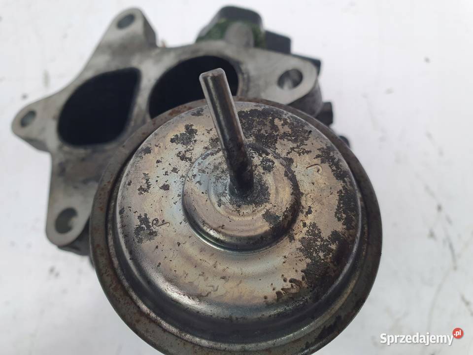 PRZEPUSTNICA Honda Civic VIII 22 ICDTI N22A2 lubelskie Chełm sprzedam