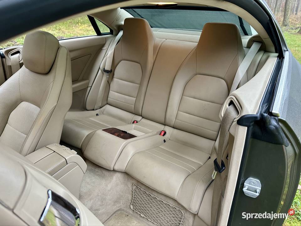 55L V8 M273 LPG Panorama HarmanKardon Distronic Piotrków Trybunalski