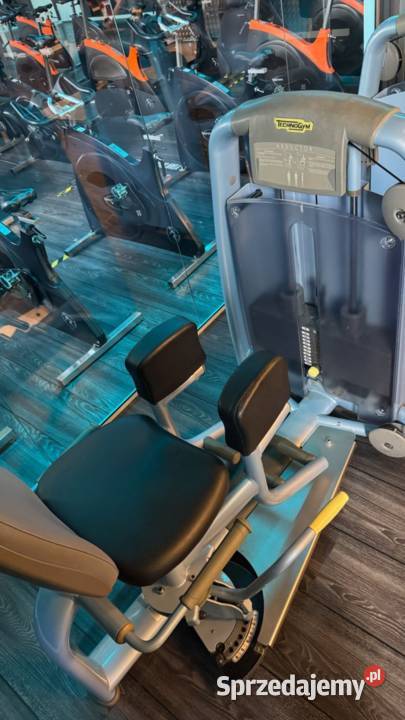 Zestaw maszyn Technogym Selection 17 sztuk Wałcz