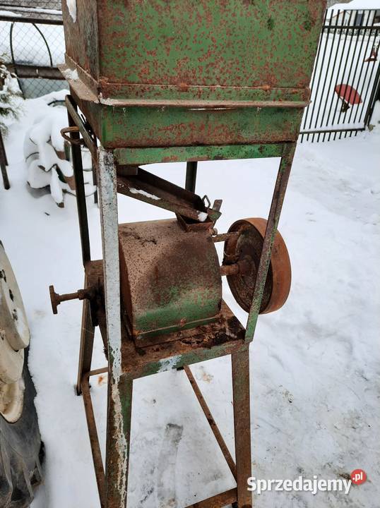 Śrutownik Pozostałe małopolskie Bucze