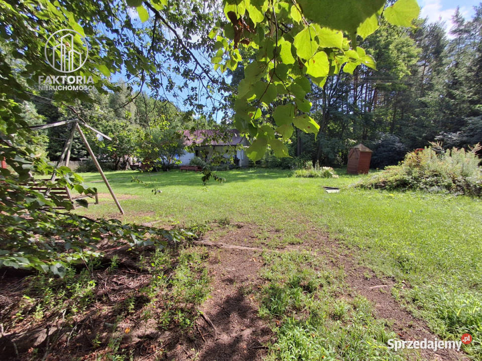 Grunt 23579m2 Gajowniki prąd