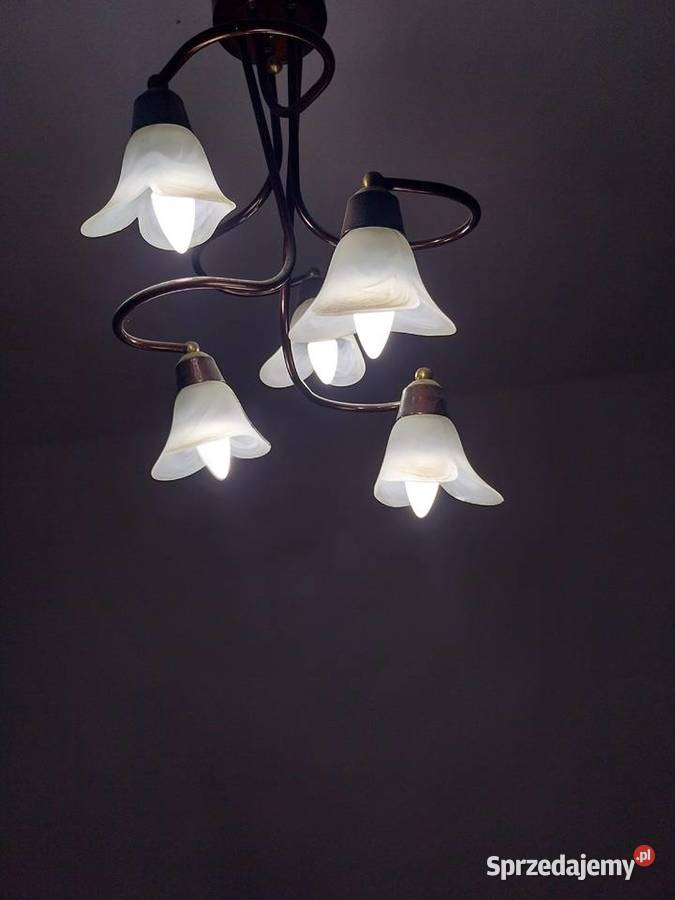 Żyrandol kwiaty mazowieckie Warszawa