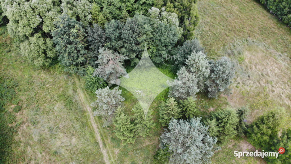 Działka rolnobudowlana j Tajno Orzechówka 30m sprzedam