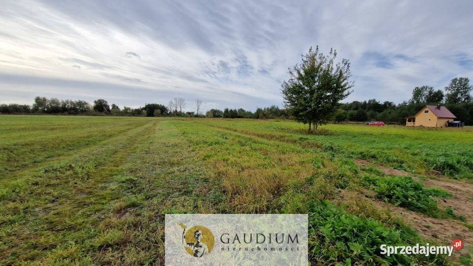 działki w Drewnicy Drewnica