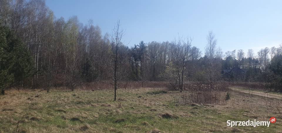Działka na sprzedaż 2160m2 Sprzedaż Piaseczno