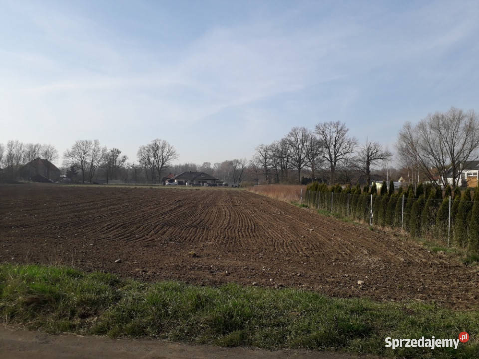 Działka budowlana utwardzona