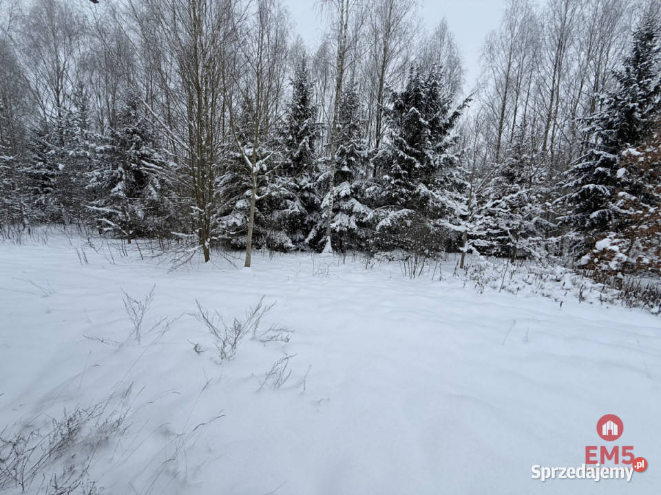 Sprzedaż domu wolnostojącego Skrybicze 6991m2 utwardzona