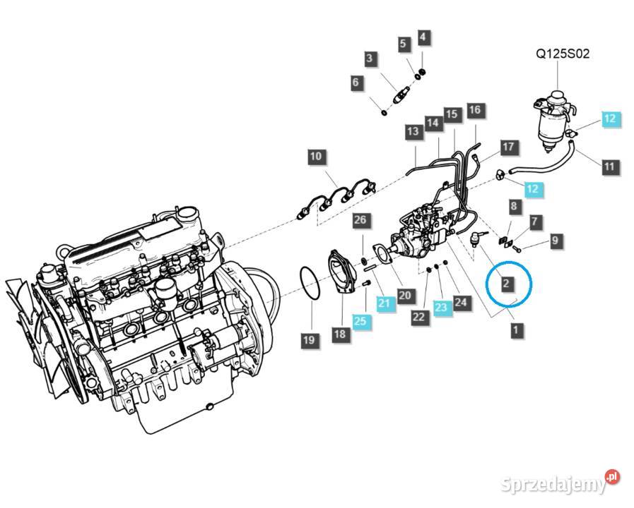 Cewka gaszenia Q1250156 Ls Tractor 40150541 Tajęcina