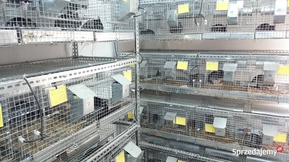 Regały metalowe półkowe paletowe sklepowe wg Kozienice