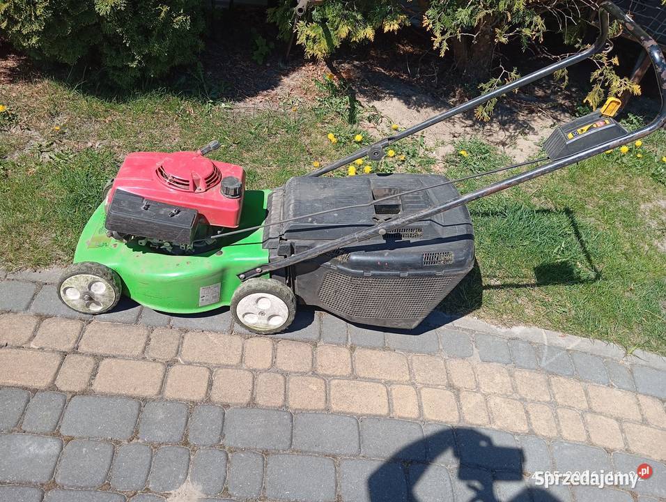 Kosiarka spalinowa Honda Ciekoty