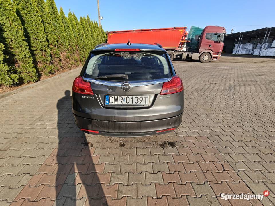 Opel Insignia A 2011 20 CDTI 160 łódzkie Działoszyn