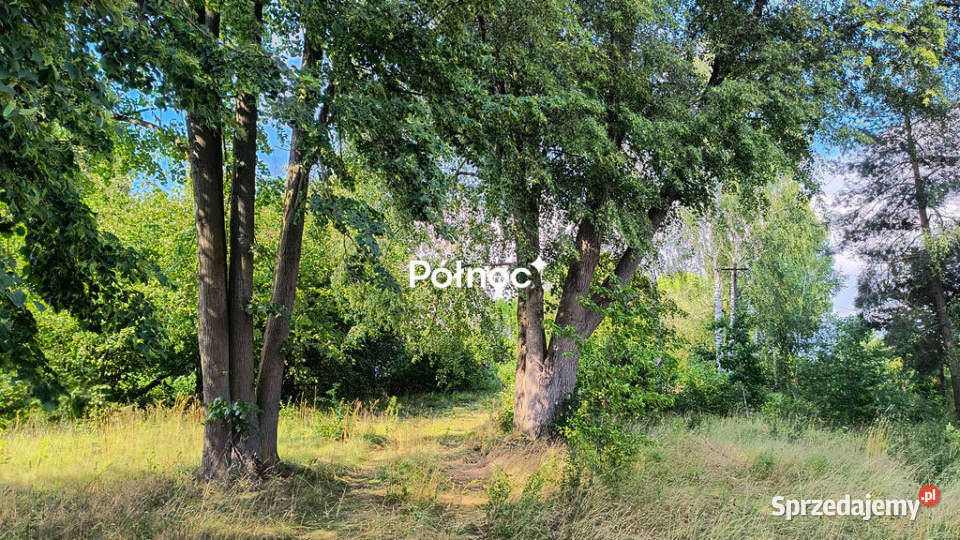 Siedlisko z sadem Pojelce gm Biała Podlaska