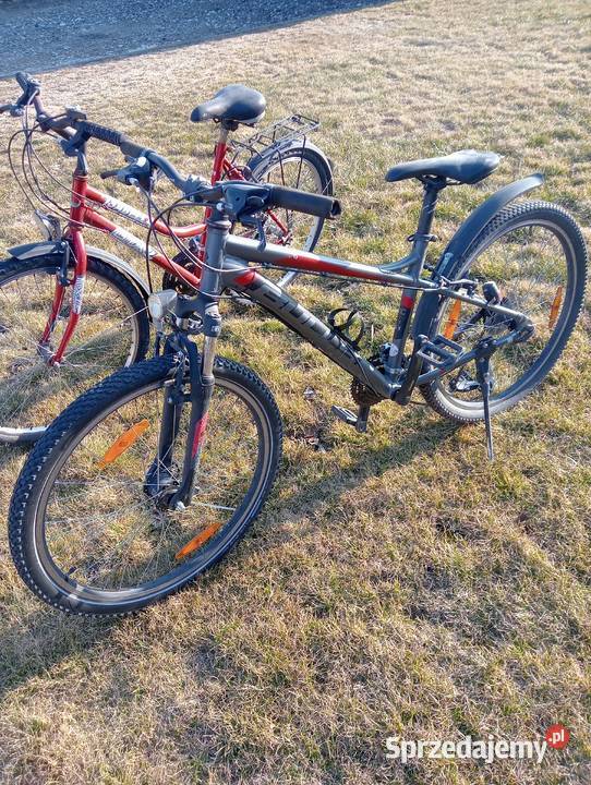 Rower koła 20 Rowerki Zbietka