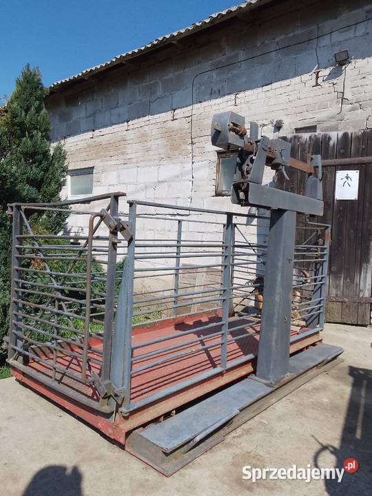 Waga inwentarzowa na bydło konie 1000 Łebień