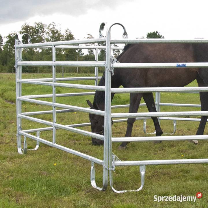 Bramka z podporami łukowymi ogrodzenie zwierząt pomorskie Chojnice