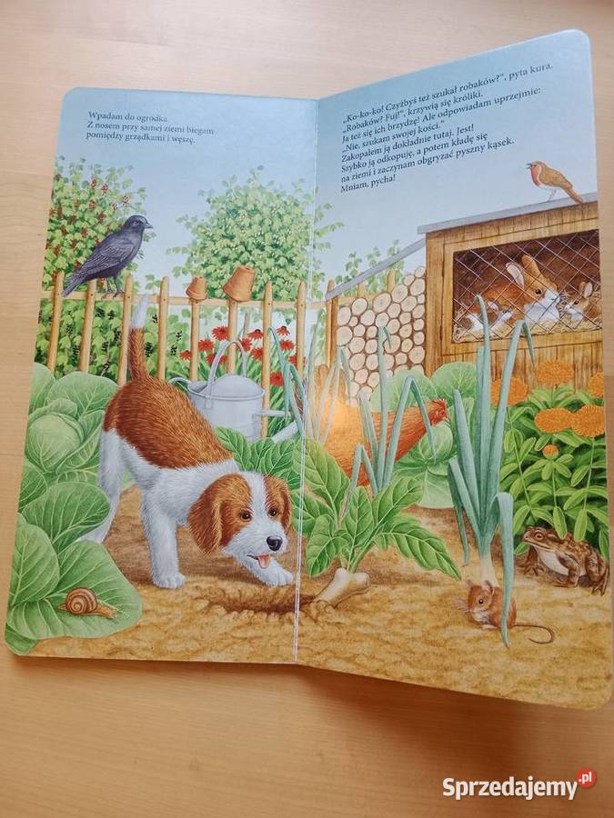 książeczka Mały piesek Poznań