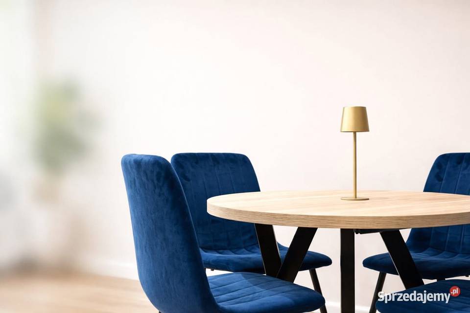 Premium Kawalerka Bielany Parking w Wynajem Warszawa