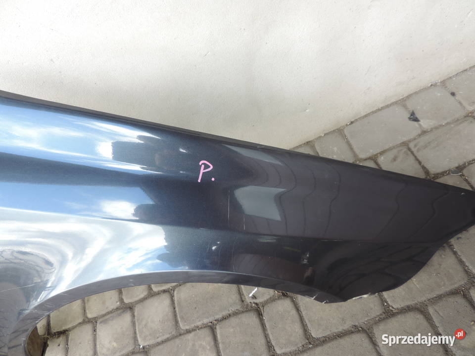 RENO LAGUNA 2 II BŁOTNIK PRAWY PRZEDNI TEB66 Nowy Sącz sprzedam