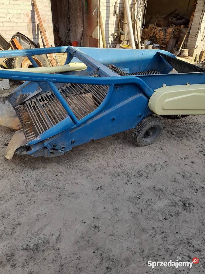 Kopaczka elewatorowa Agromasz Czyżów Szlachecki