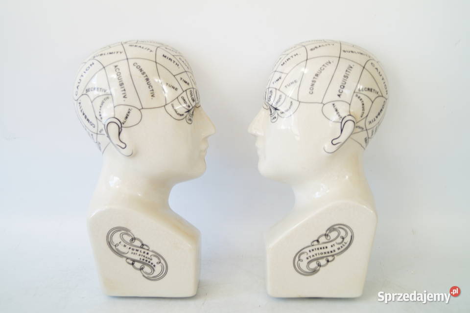 Dwie głowy medyczne porcelanowa PHERNOLOGY wielkopolskie Gizałki