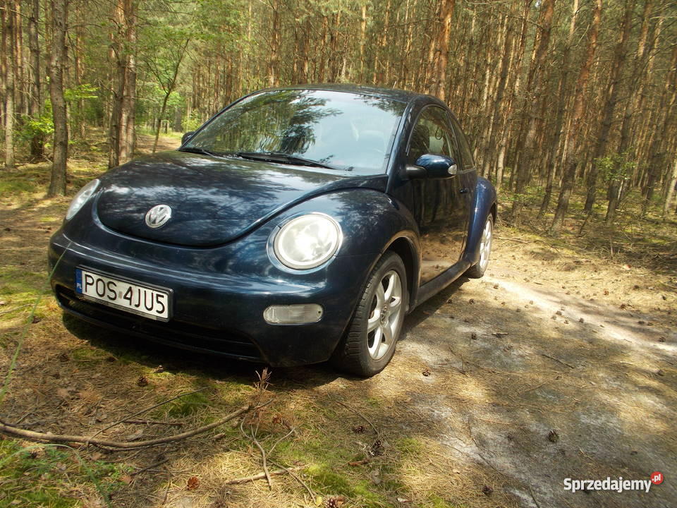 garbus vw new beetle Mariak Sprzedajemy.pl