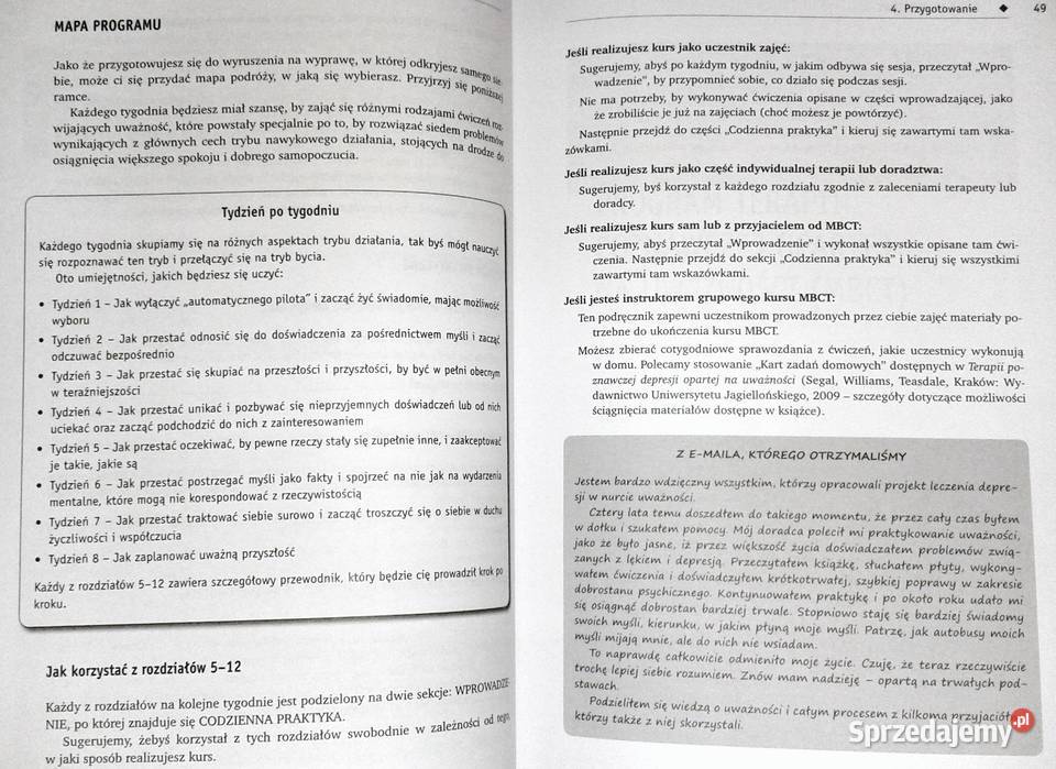 Praktyka uważności J Teasdale M Williams S Segal miękka Chełm