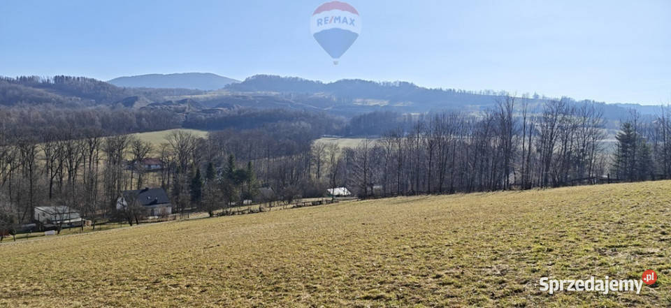 Działka budowlana pod lasem Dzięgielów