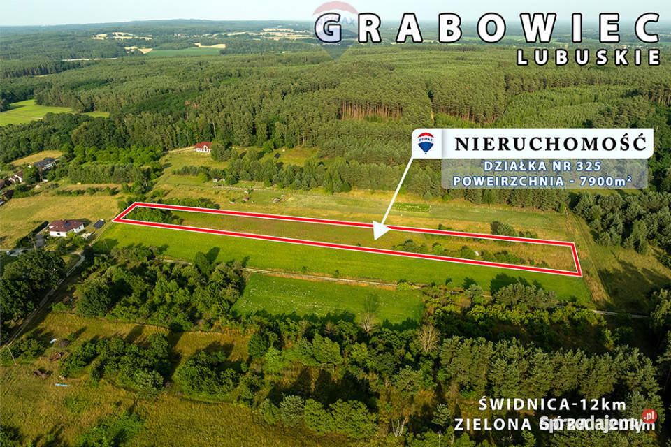 Na sprzedaż działka rolna 7900 m2 pod lasem Sprzedaż