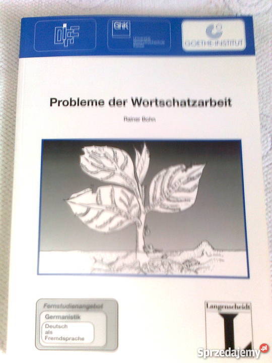 Probleme der Wortschatzarbeit Rainer Bohn
