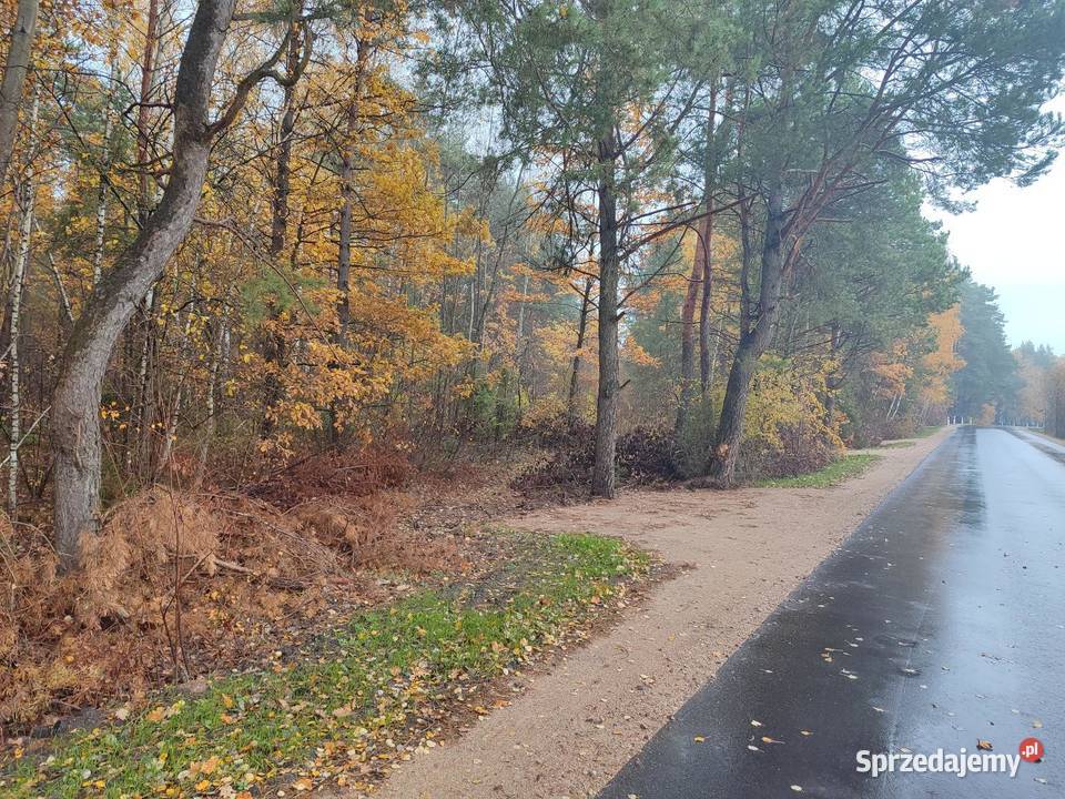Działki leśne leśna podlaskie Choroszcz sprzedam