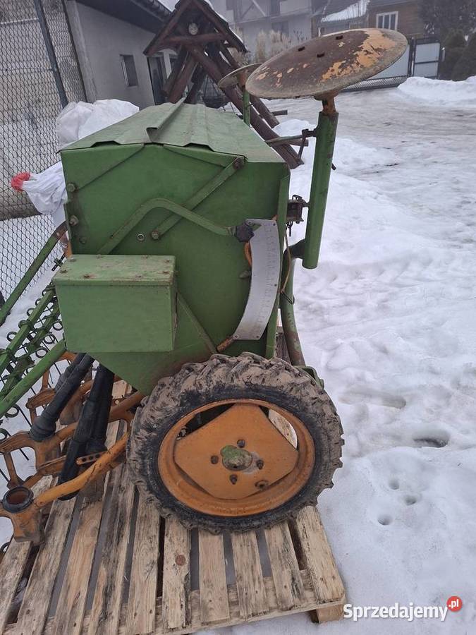 Siewnik amazone świętokrzyskie Wszachów