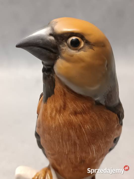 GOEBEL Ptak Grubodziób Hawfinch Kolekcjonerska Gdańsk