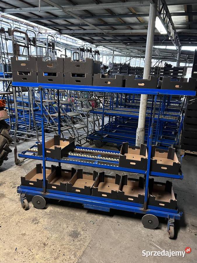 Wózek rolkowy szklarniowy do zbioru warzyw Śmigiel