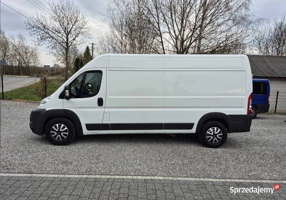 Citroen Jumper Kazimierz Dolny