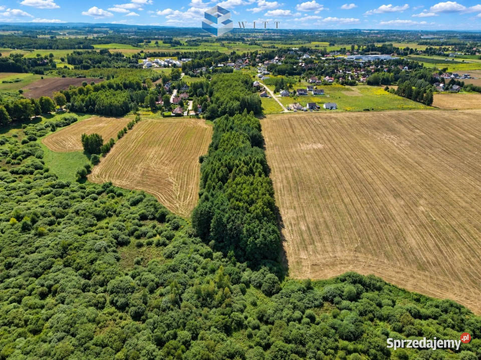 sprzedaży gruntu Zwierzewo 3124m2 70m