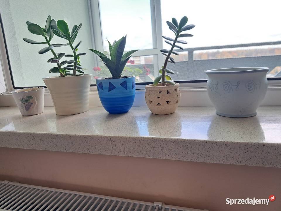 kwiat Ceramiczna osłonkadoniczka Warszawa