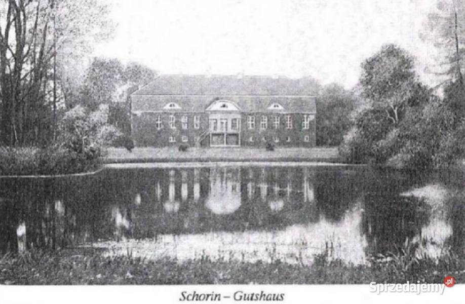 Nieruchomość z duszą zabytkowy pałac Skórzyno