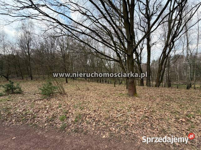 Sprzedam działka 10182m2 Wodzisław Śląski