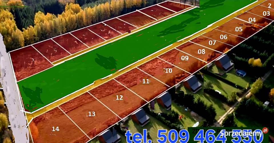 Jezioro Białe Glinki Okuninka Orchówek Włodawa