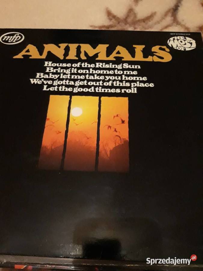 Płyty winylowe Kansas Live The Who The Animals Rzeszów