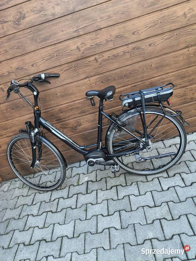 Rower elektryczny marki Batavus posiada Żywiec