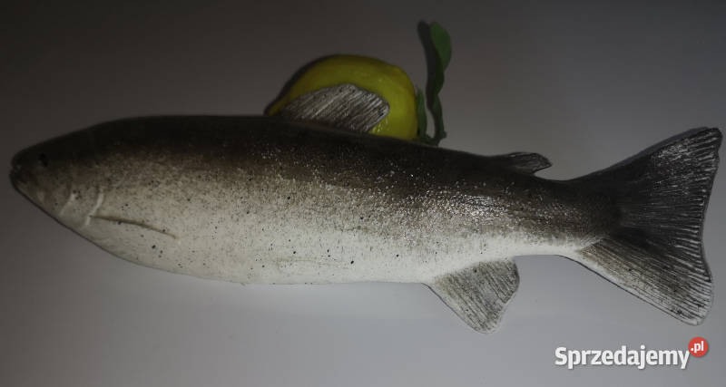 Sztuczne ryby do dekoracji Sklep Biznes i Przemysł Łódź